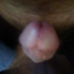 ���������� �����