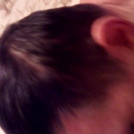 ���� ������ �������