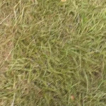 ��� ������� ��� ���� ���� � ������