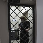 �� ��������