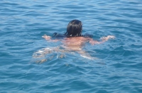 ������ �����