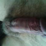 ��� ����� ���