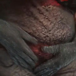 �������� � ����������