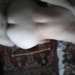 ��� �.����