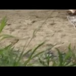 ������������� ���� �� �����