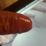 ������ �� ������� ����