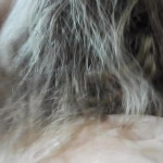 �������� � �����