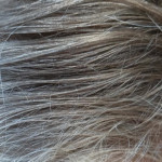 ������� ������������ �� �������