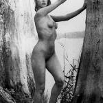 ����� �������� ����.