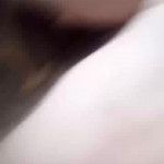 ��������� �������