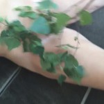 ������� �����-2