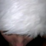 ���������� �����������