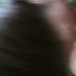 ����� �������