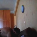 ������� � ������� ���