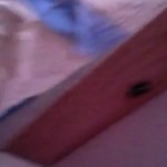 ���� �� ������� (HD)