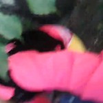 ��������� �� �����