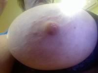 ���� ������� �����