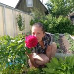 ������ ���������