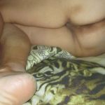 �������� � ������