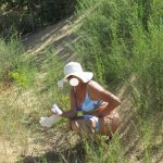 �������� � �����