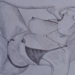 ����������� ���������