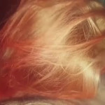 ����� ���������