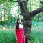 �������� ����������