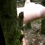 ������� � ���� � ��������.