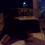 ������ ������