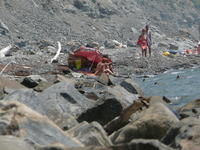 � � ��� ����������� ����� ����� �1