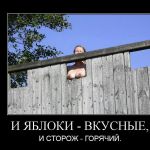 ������������-4