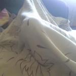 ���� �����