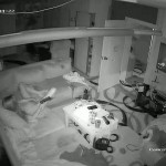 �������� �����.