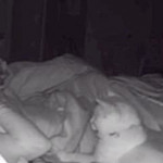 � ��������.