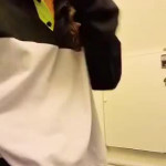 ������������ � �������.