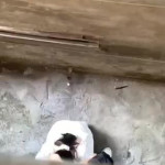 ���� �� �����.