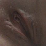 �������� ����������� �� ���������