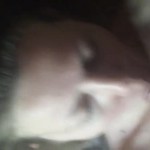 �������� ����