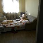 �������-�� �����������