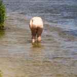 ���������� �� �������� , ����� �����