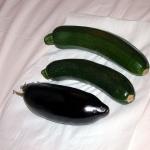 ����� ��� ����� ������ �����