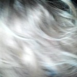 ������ �������� �����? 2