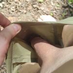 ���� 2025 � ������ �������.