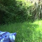 ����� ���������� �� ��������