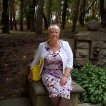 ������ 53 ������