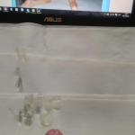 ��� �����