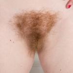 ����� ��������