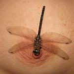 ��� ������ ��������� ����� 2