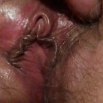 ������ ���� ����� ������