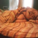 �������� ������